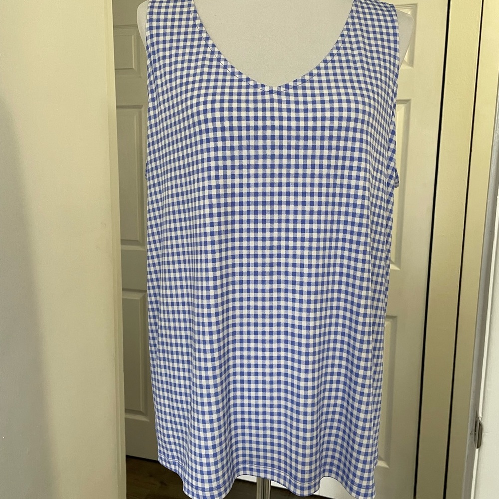 SUSAN GRAVER TOP SHIRT 1X BLUE & WHITE GINGHAM CHECK SLEEVELESS SPRING LOOK CUTE